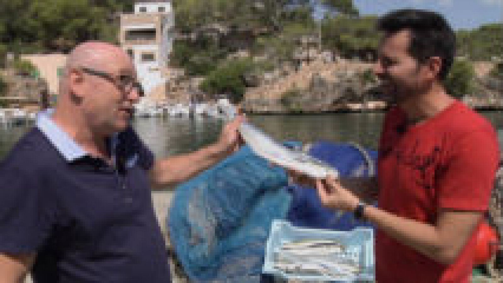 La llampuga de Mallorca