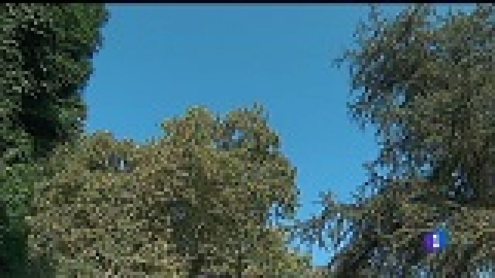 El tiempo en Asturias - 20/09/18 | Ver