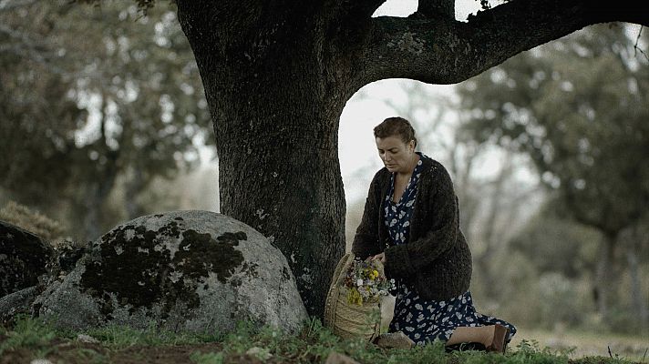 Así comienza 'Viejas heridas'