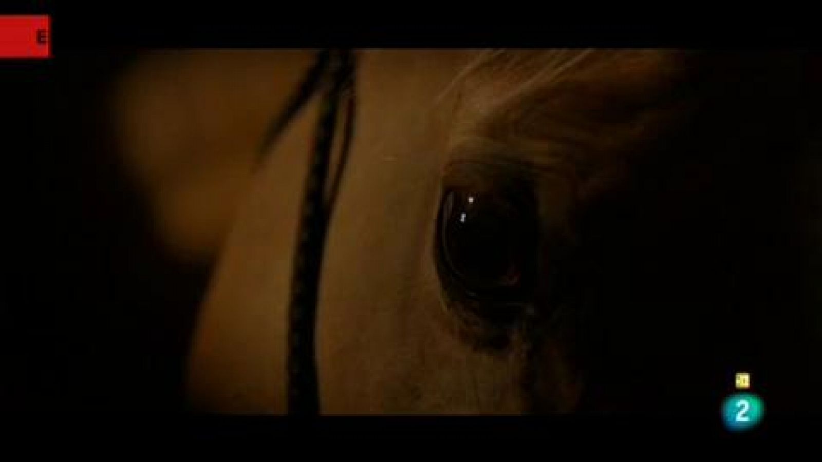 Días de cine: 'The rider' | RTVE Play