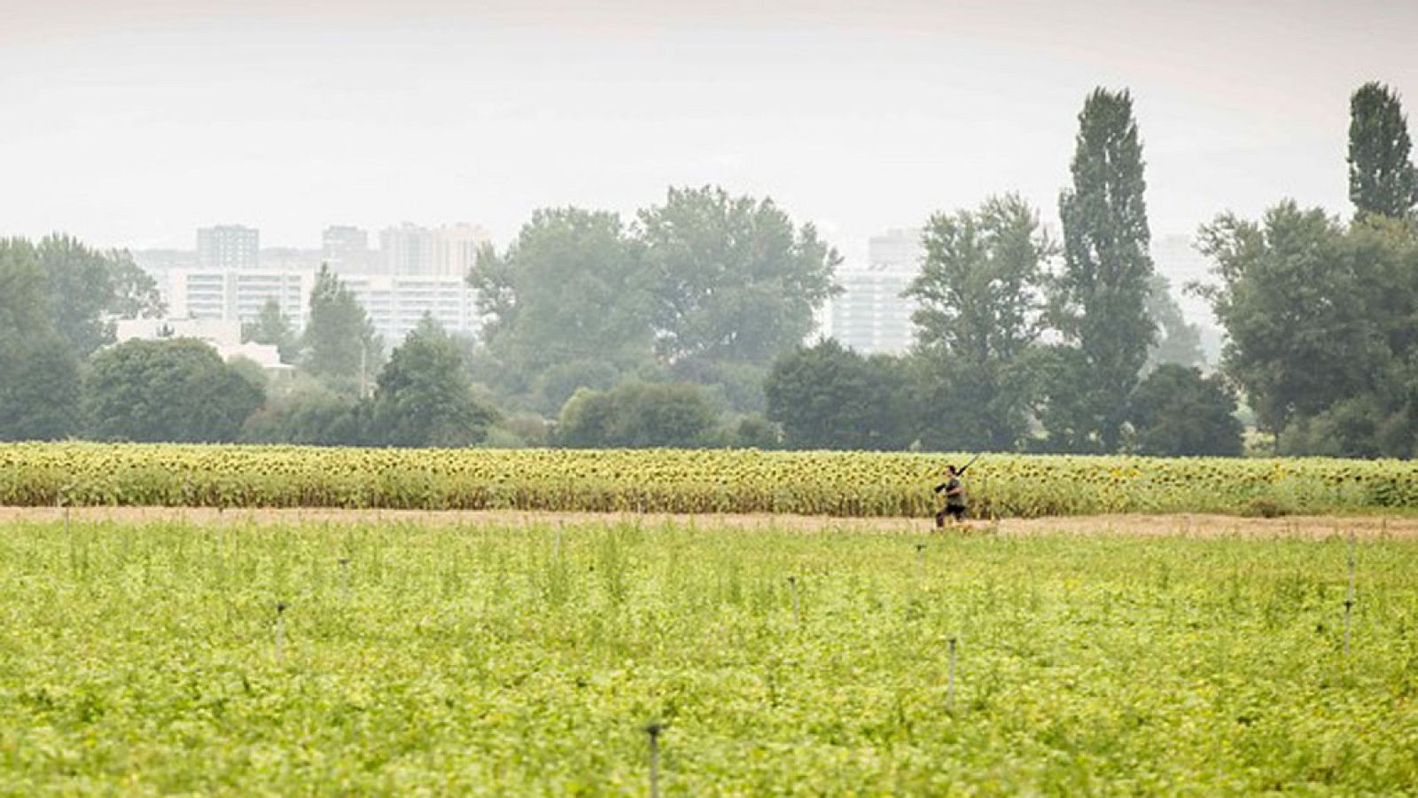 Tiempo estable en todo el país