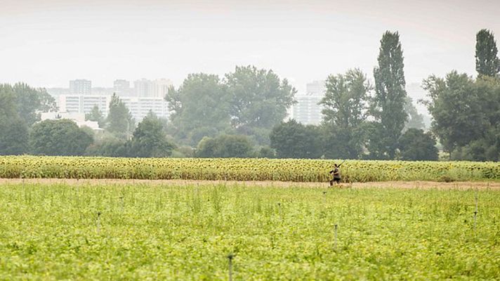 El tiempo - Tiempo estable en todo el país