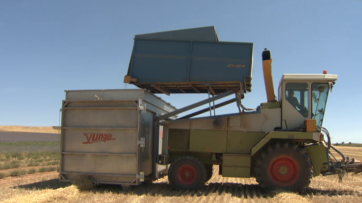 Agrosfera - Agrosfera - 22/09/18