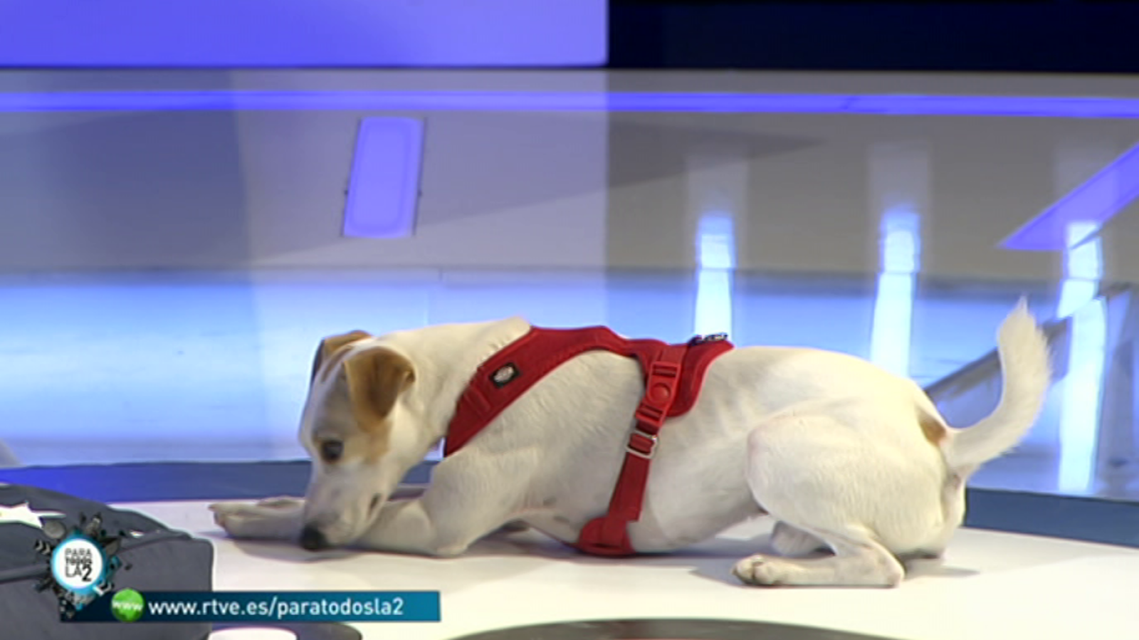 Para todos La 2 - 22/09/18 - ver ahora