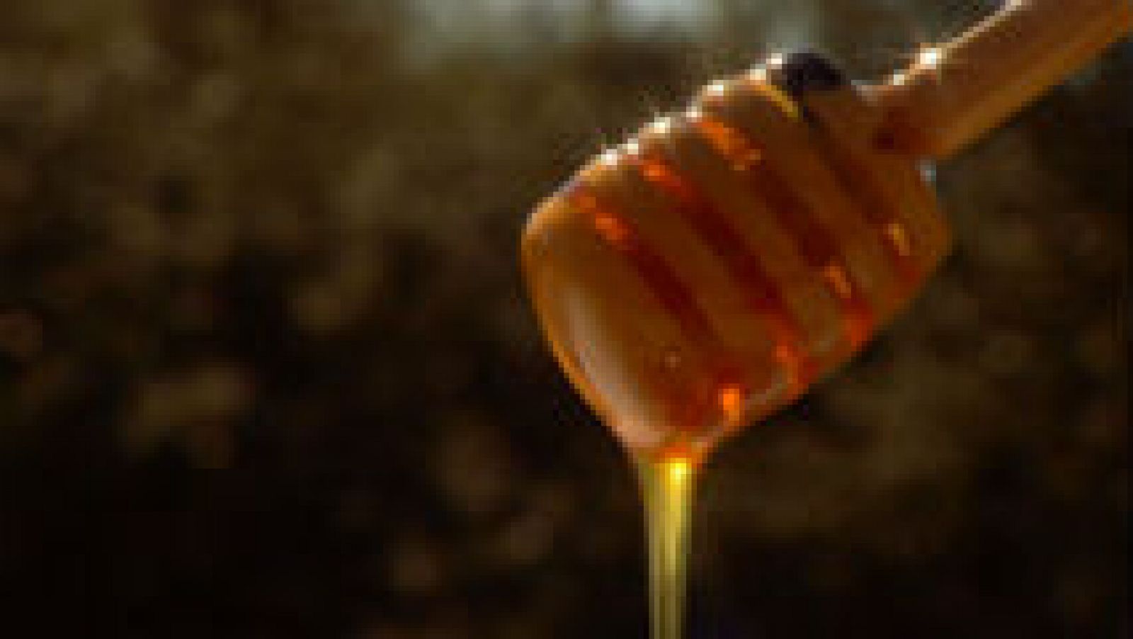 Cómo se hace la miel ecológica 