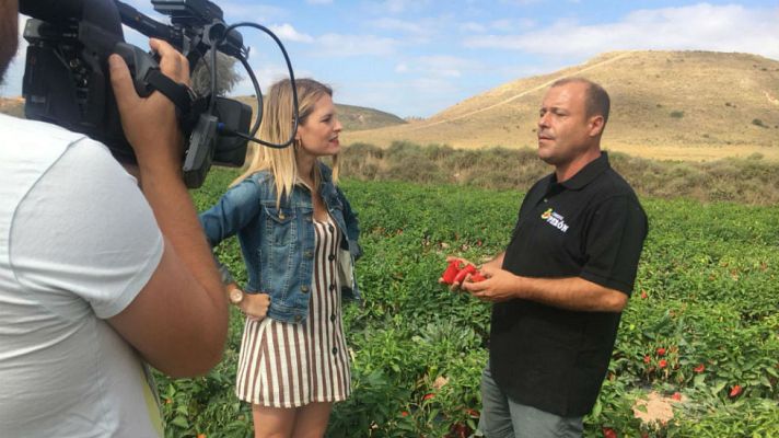 Aquí la Tierra - ¿Por qué se llaman pimientos de piquillo?