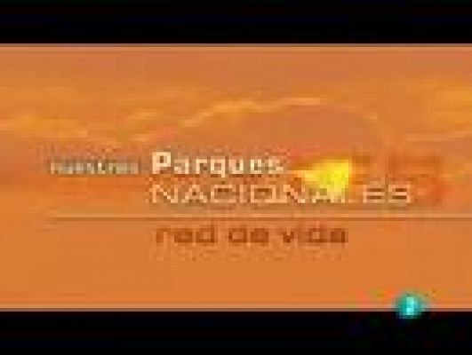 Espacios naturales - Timanfaya