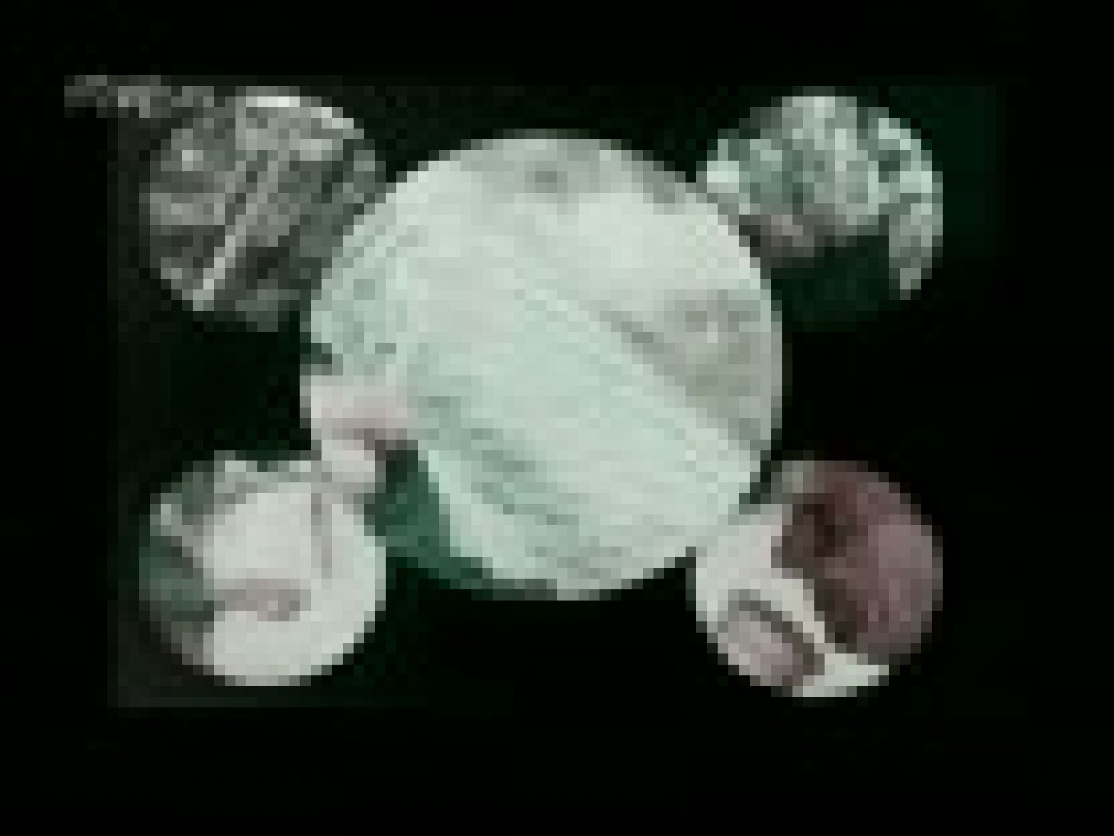 Raíces - El bautizo