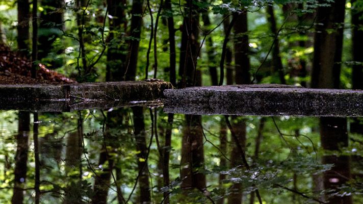 El tiempo - Levante fuerte en Cádiz. Precipitaciones que pueden ser localmente fuertes en Almería e interior noroeste peninsular