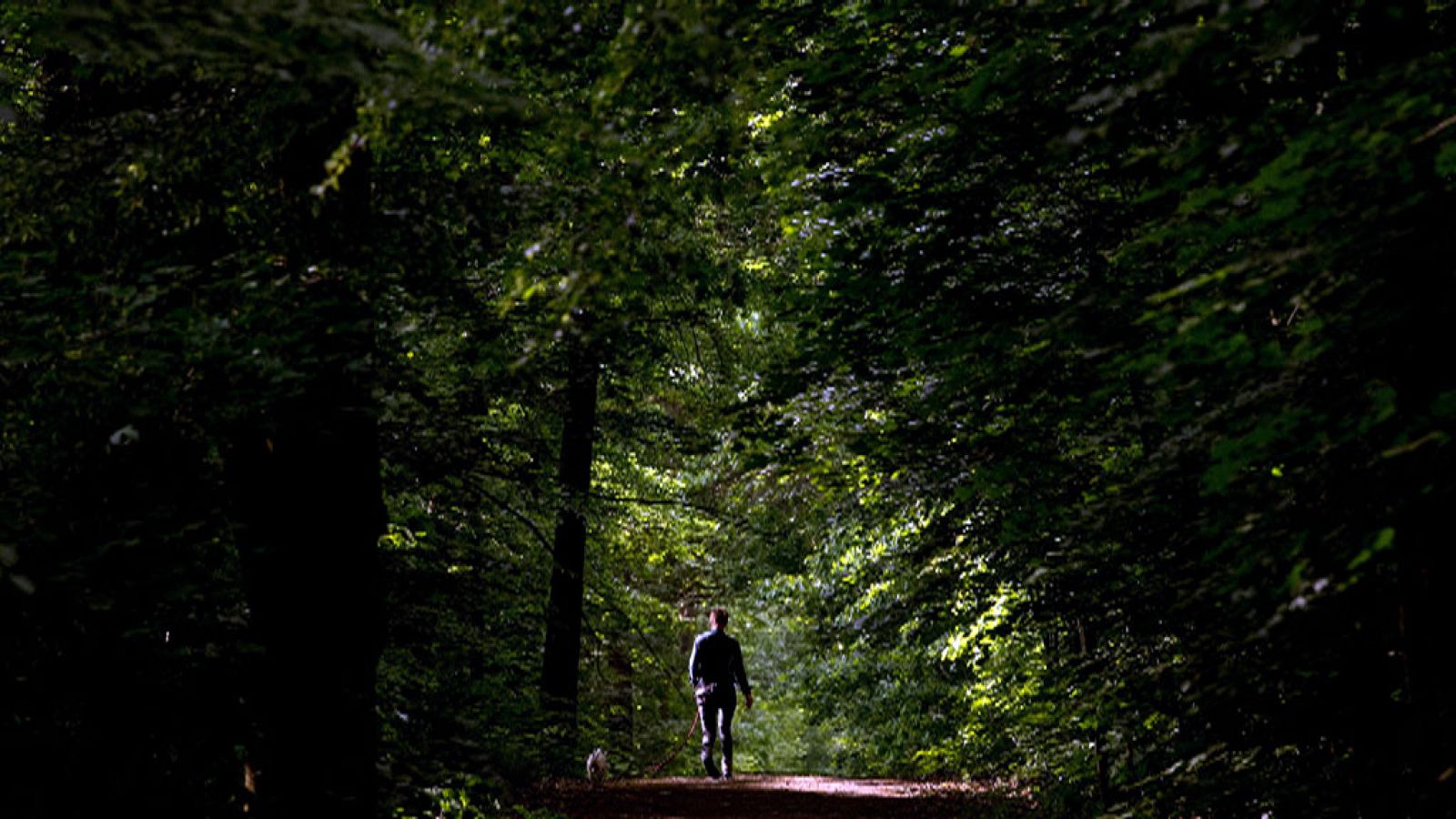 Levante fuerte a primeras horas en el Estrecho
