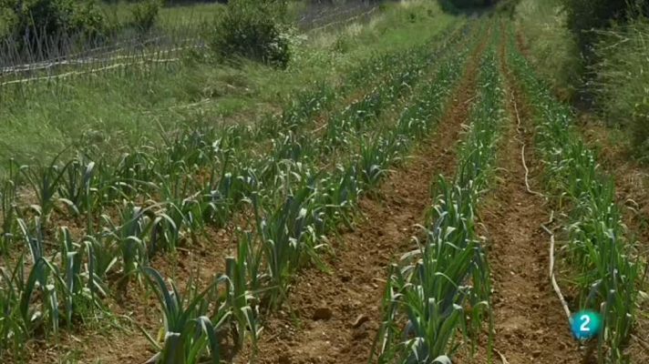 Amb identitat - Productes ecològics