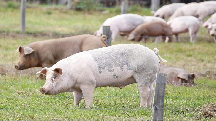 Agrosfera - 29/09/18