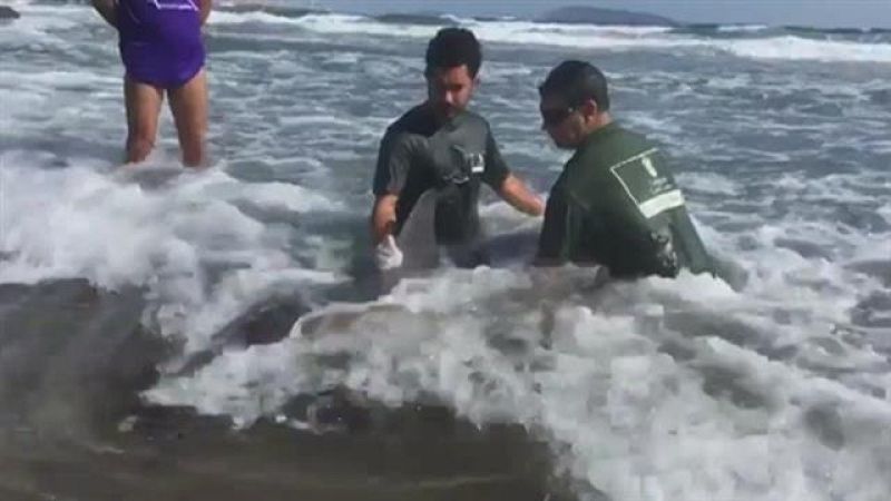 Canarias en 2' - 29/09/2018