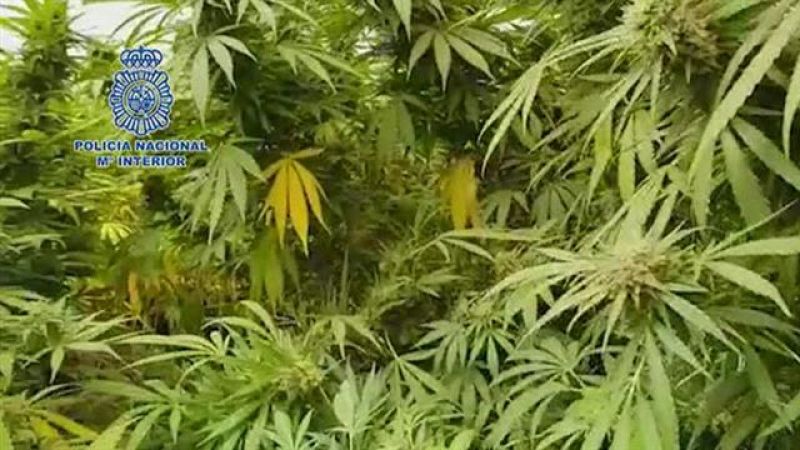 Telecanarias - 30/09/2018