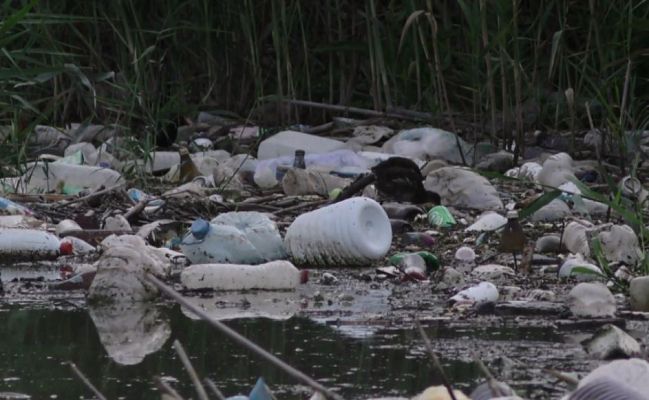 Repor - Plastificados - Avance