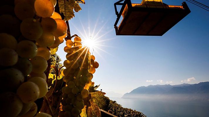 El tiempo - Vientos fuertes en nordeste peninsular y descenso de temperaturas