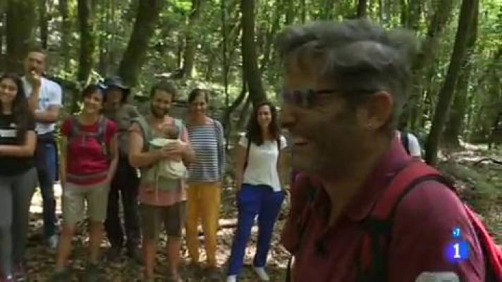 Comando Actualidad - Patrimonio de la humanidad - Los acebiños de Garajonay