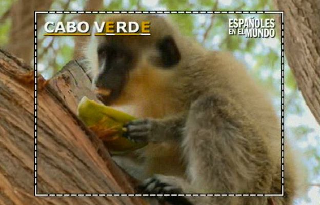 Españoles en el mundo - Cabo Verde - Tomas falsas