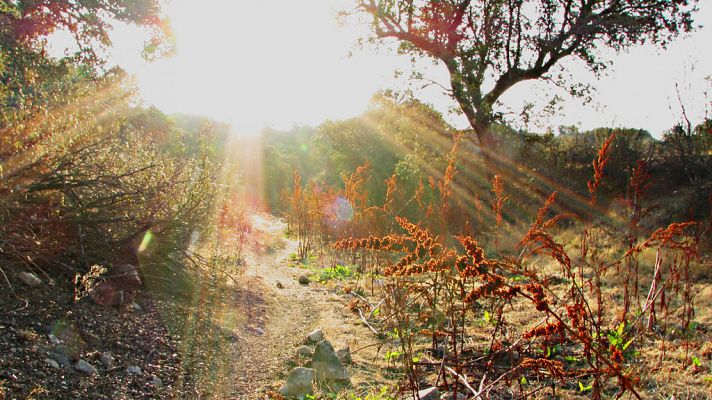 Informativo de Madrid - El Tiempo en la Comunidad de Madrid - 03/10/18