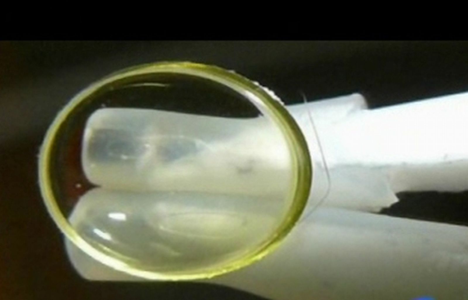 La Universidad Complutense de Madrid ha presentado un invento que puede prevenir la ceguera - Ciencia y tecnología en Rtve.es | Ver