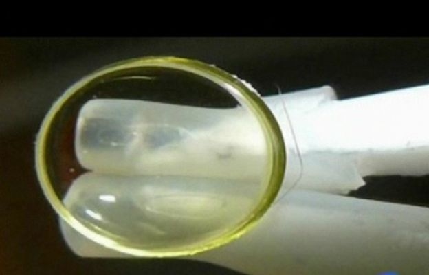 Ciencia y tecnología en Rtve.es - Puede prevenir la ceguera