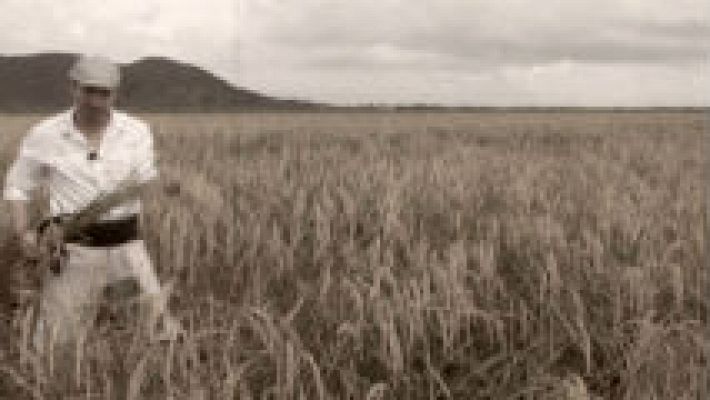 Aquí la Tierra - El arroz bombón vuelve a la vida