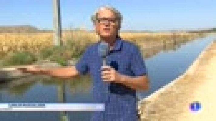  - Alertan de la existencia de siete zonas contaminadas por radiación en España