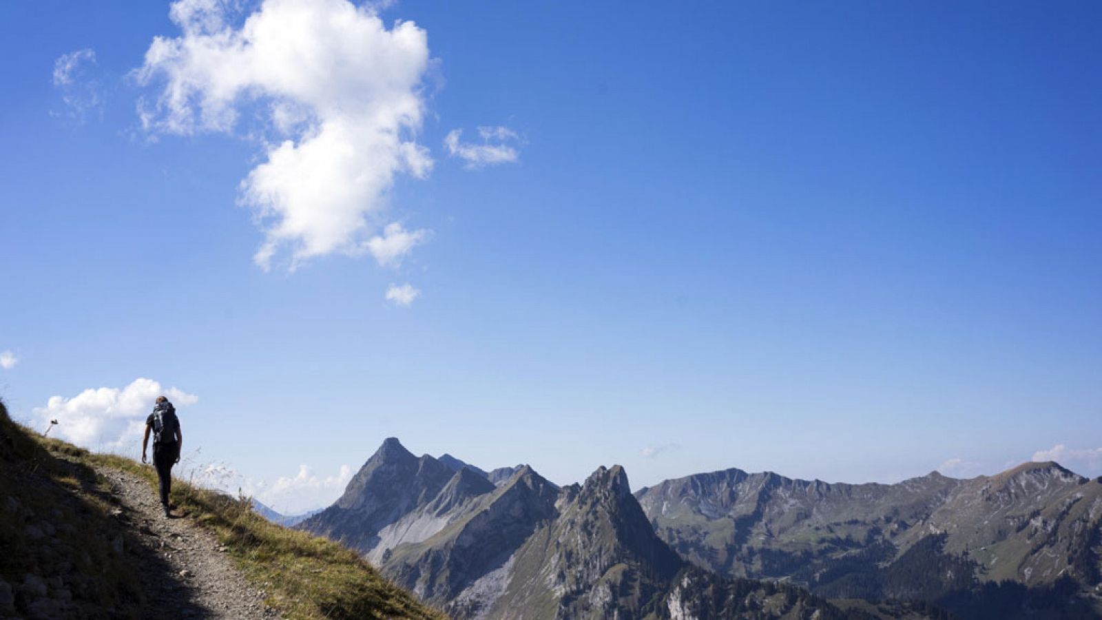 El tiempo: Tiempo soleado, sin lluvias y se espera que suban las temperaturas de forma notable en el norte | RTVE Play