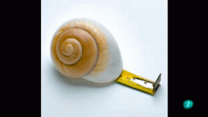 La aventura del Saber - Boek visual: Los Díez.