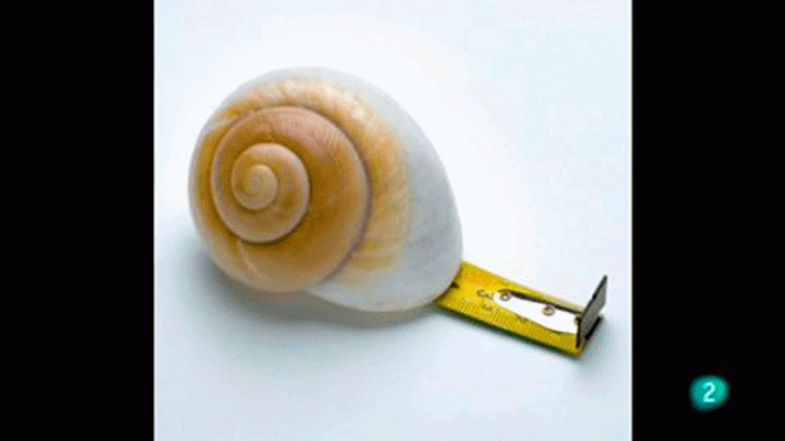 La aventura del Saber - Boek visual: Los Díez.