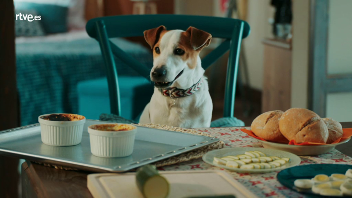 Sabuesos - Así comienza el último capítulo