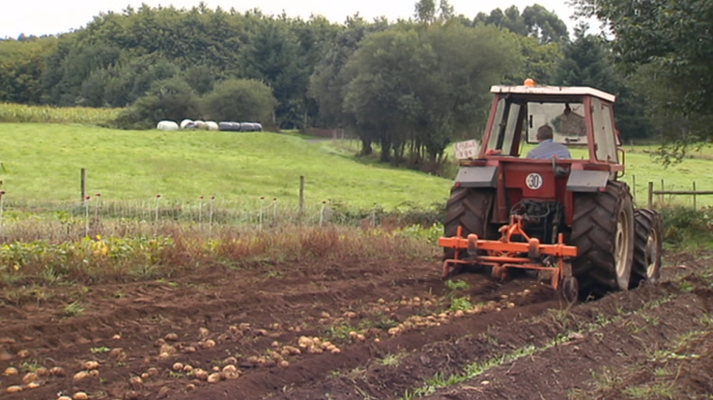 Agrosfera - Agrosfera - 06/10//18