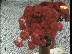 Informe semanal - Tercer aniversario de la "revolución de los claveles" en Portugal