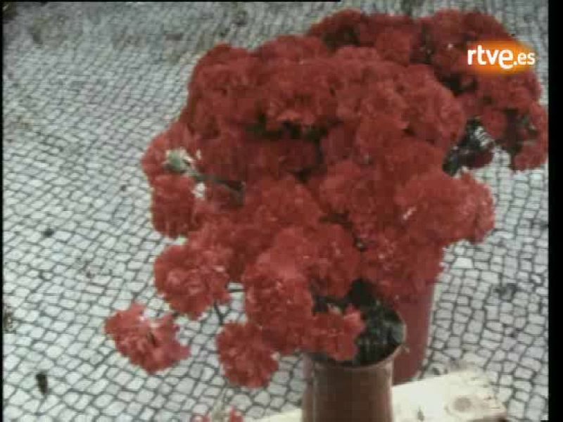 Informe semanal - Tercer aniversario de la "revolución de los claveles" en Portugal | Ver