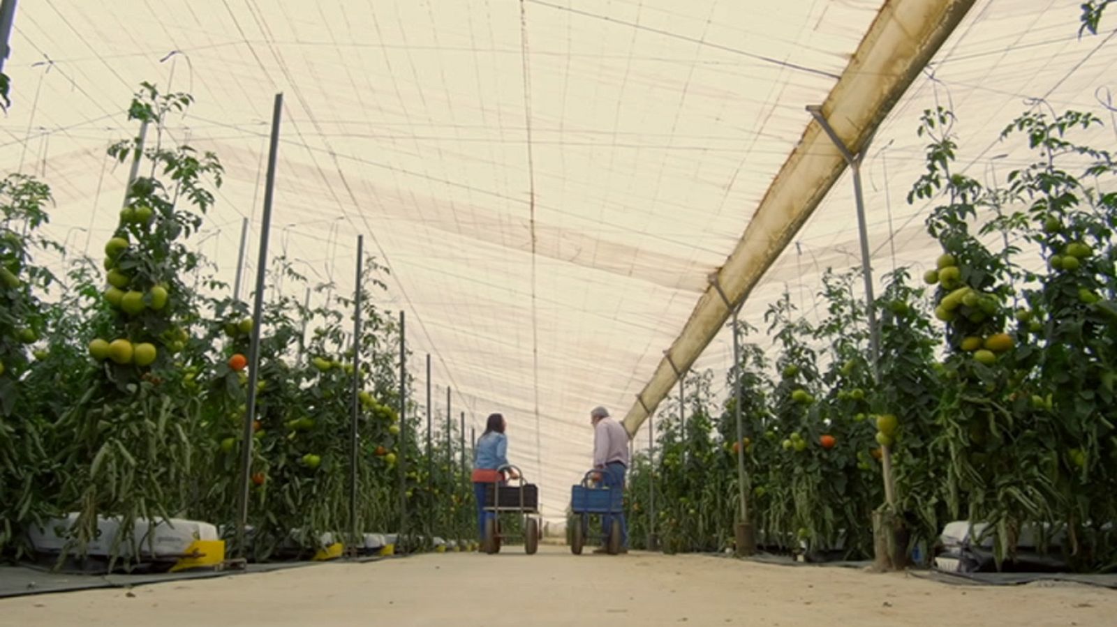 Las rutas de Verónica - Cádiz - ver ahora