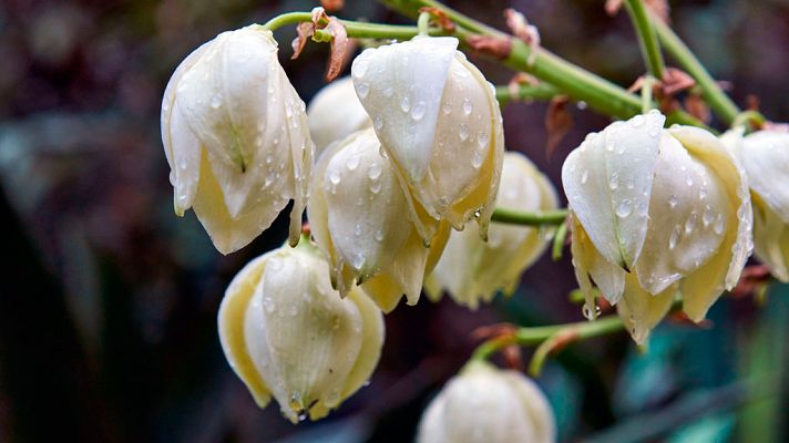 El tiempo - Lluvias fuertes en Aragón, Cataluña, Valencia y Andalucía