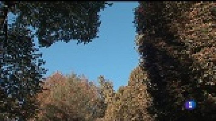 Panorama Regional - El tiempo en Asturias - 10/10/18