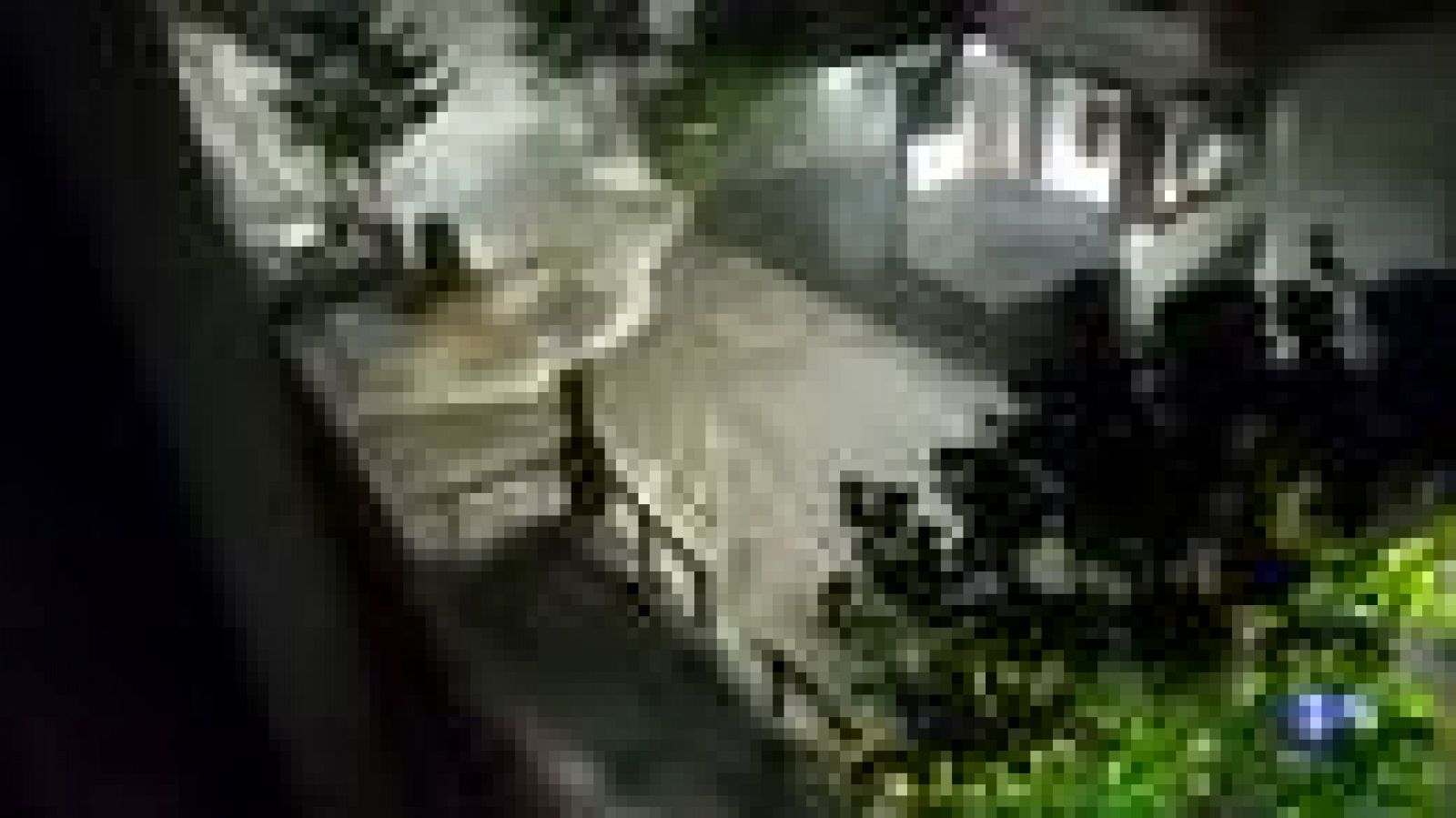 Noticias Andalucía - 10/10/18 | Ver