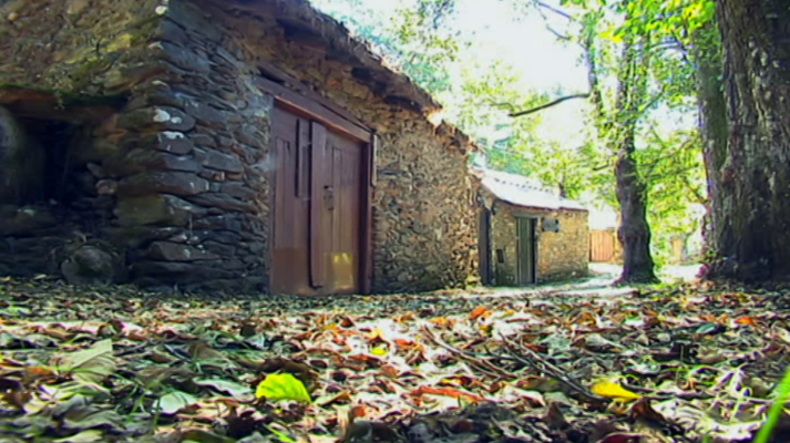 Agrosfera - Agrosfera - 13/10//18