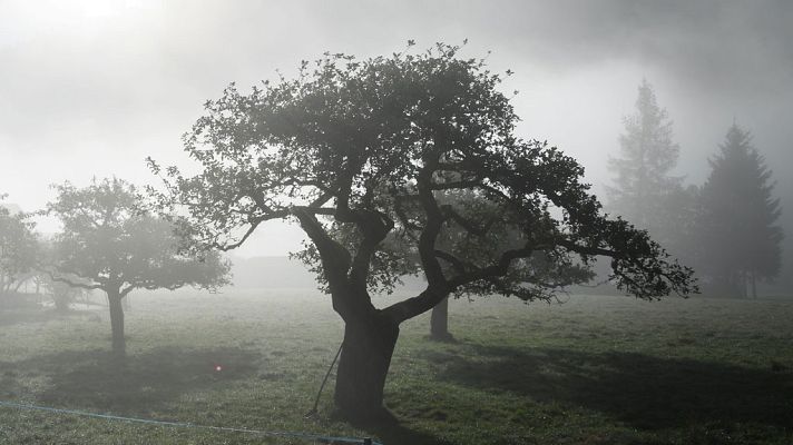 El tiempo - Posibilidad de lluvias fuertes en cualquier punto de la Península