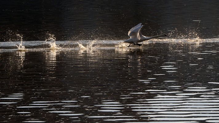 El tiempo - Predominio de vientos de componente sur en el oeste peninsular