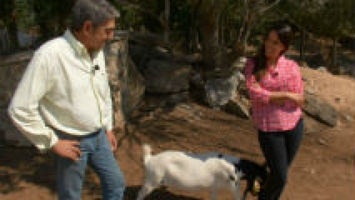 Aquí la Tierra - El zoo de Manolo