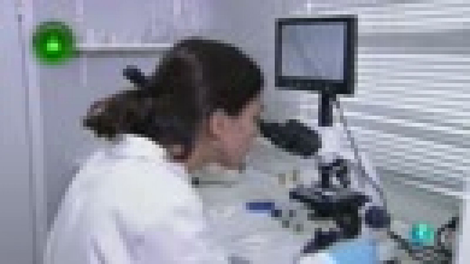 Laboratorio de ideas, Microalgas