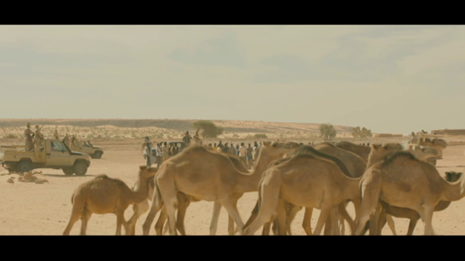 Zona Indie - Timbuktú (presentación) - ver ahora