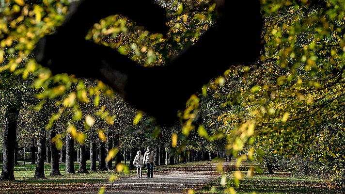 El Tiempo en la Comunidad de Madrid - 16/10/18