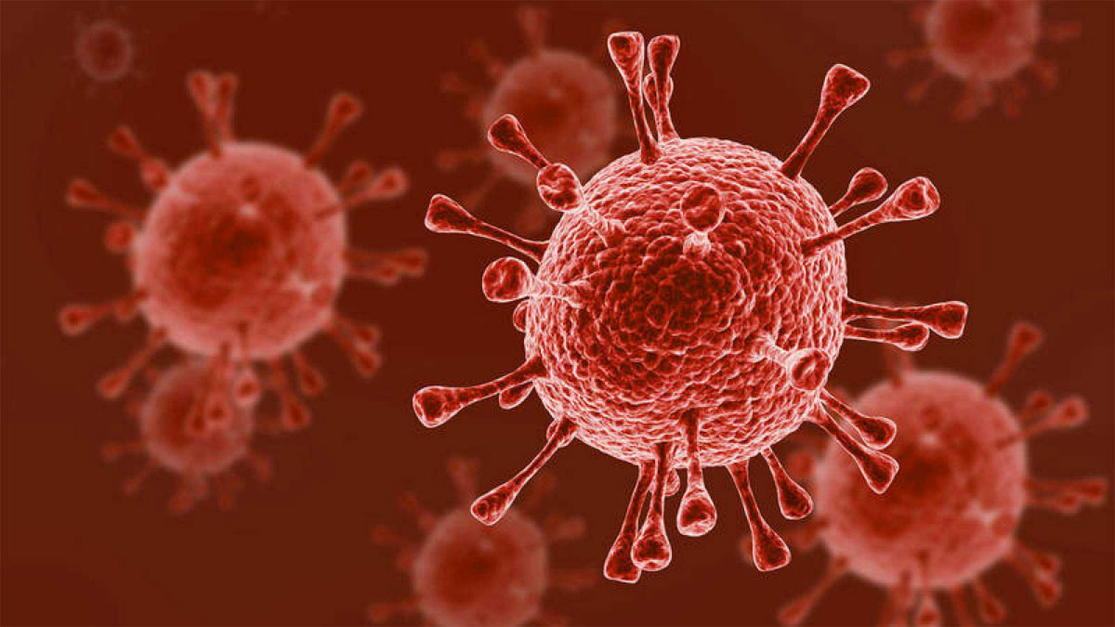 Telediario 1: Científicos españoles podrían haber eliminado el VIH de seis pacientes con trasplantes de células madre | RTVE Play