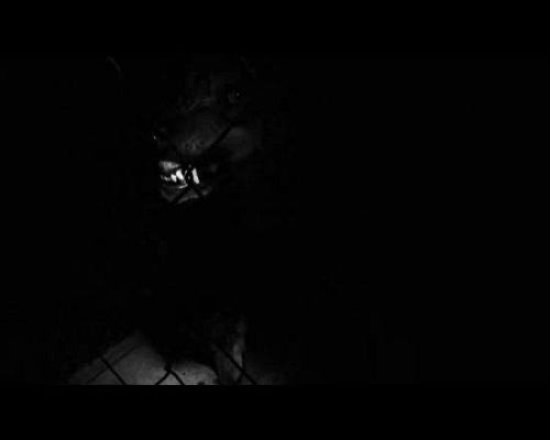 Miradas 2 - Ráfaga 461 - Sin título