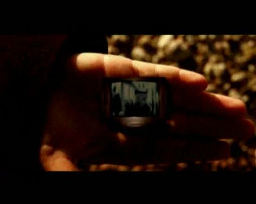 Miradas 2 - Ráfaga 506 - Renacer