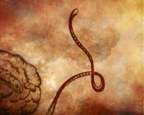 Miradas 2 - Ráfaga 644 - M2 Reborn