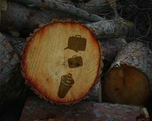 Miradas 2 - Ráfaga 655 - Sin título